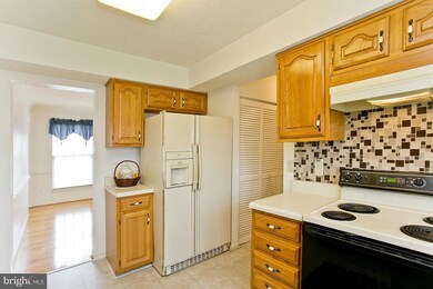 105 Patrick Place, Stephens City, VA 22655 - photo 4