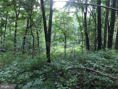 0 Appalachian Ln unit VAWR138236, Linden, VA 22642 - photo 5