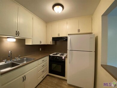 4114 Florida St unit 3, Zachary, LA 70791 - photo 3