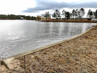 Seawall and View from Lot to Right
