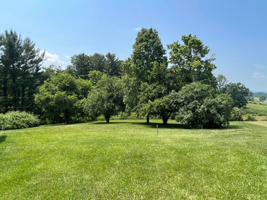 IMG_0689
