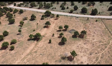 2604 W Maple Canyon Ln, Parowan, UT 84761 - photo 4