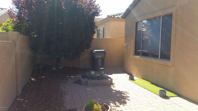 Backyard facing West