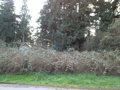 0 Bonaire Ave, Lake Oswego, OR 97035 - photo 3