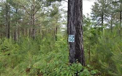 LOT 50 Pinehurst Rd, Blairsville, GA 30512 - photo 3