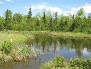 Yard/Garden. Trout Pond