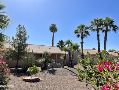 Expansive & Beautiful Backyard