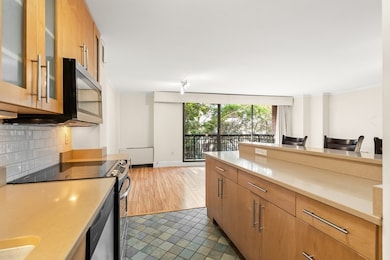 50 Longwood Ave unit 518, Brookline, MA 02446 - photo 5