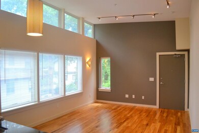 1600 Jefferson Park Ave unit 106, Charlottesville, VA 22903 - photo 3