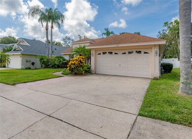 1152 Clippers Way, Tarpon Springs, FL 34689 - photo 3