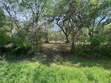 0 Cr 400 Tract 3, Brazoria, TX 77422 - photo 2