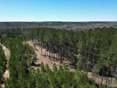 09 Robinsonville Rd, Atmore, AL 36502 - photo 6