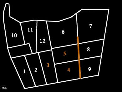 10309 Basmati Trail, Zebulon, NC 27597 - photo 5