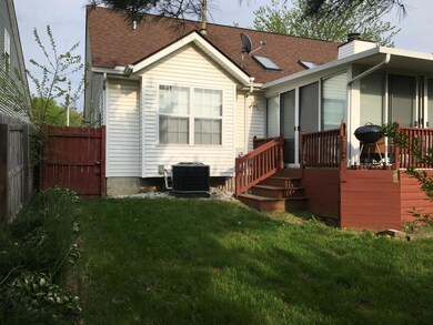 Back yard