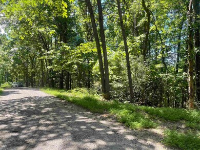 Lot B8 Cross Mountain Rd, Luray, VA 22835 - photo 4