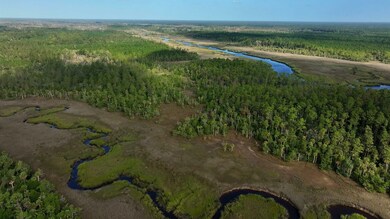 0 Georgetown Rd, Brunswick, GA 31523 - photo 6