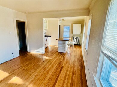 135 E North Ave unit 2, Elmhurst, IL 60126 - photo 4