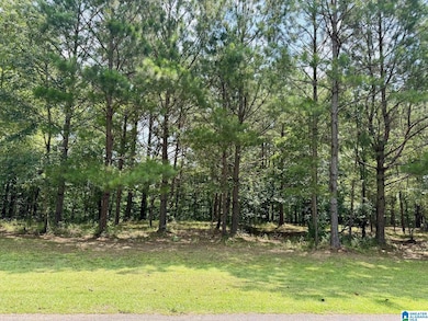 0 Wright Way Dr unit 21423149, Wedowee, AL 36278 - photo 5