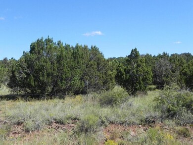 Bourdon Ranch Road Property 007