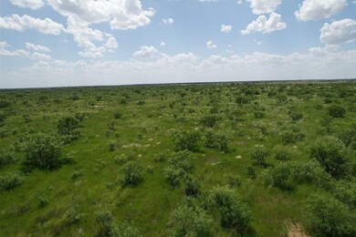 Tbd Cr 483, Hawley, TX 79525 - photo 5