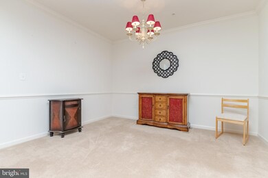 1011 Samantha Ln unit 301, Odenton, MD 21113 - photo 4