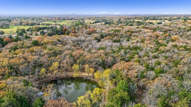 387 Immigrant Trail Rd, Denison, TX 75021 - photo 6