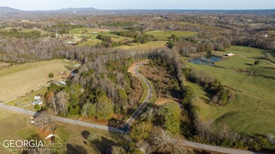 5440 Oak Manor Way unit LOT 10, Murrayville, GA 30564 - photo 7