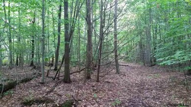 54 Lincoln Mountain Rd, Greenfield Center, NY 12833 - photo 5