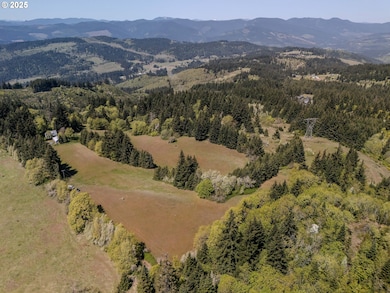 59 Tunnel Rd, White Salmon, WA 98672 - photo 5