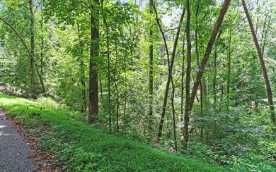 Additional View