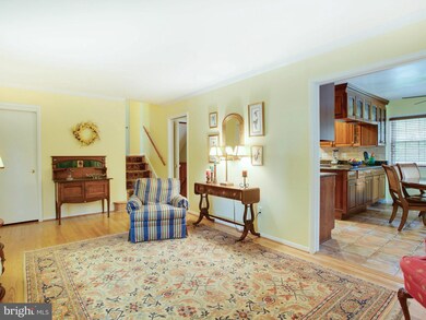 8514 Doter Dr, Alexandria, VA 22308 - photo 5