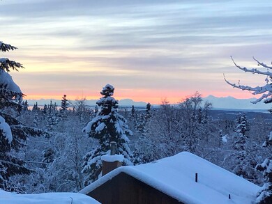 Snow View 2
