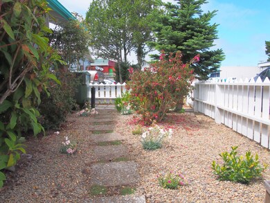 Front yard