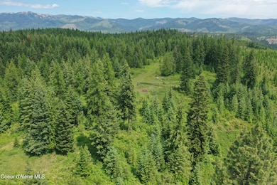 DJI_0971