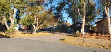 Trailer park 3