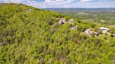 000 Mt Riante Rd, Hot Springs, AR 71913 - photo 6