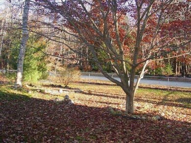 Yard/Garden. Front yard