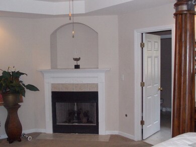 MASTER FIREPLACE