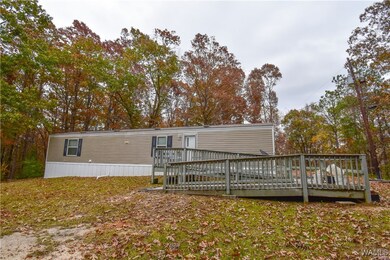 7655 Baptist Campground Rd, Northport, AL 35473 - photo 7