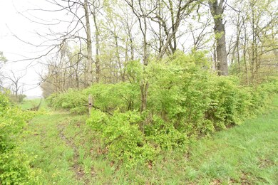 Tract 5 at Dean Rd, Harrodsburg, KY 40330 - photo 3