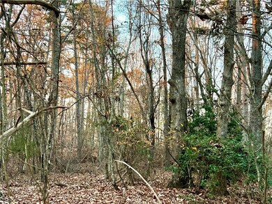 View of local wilderness featuring a forest view