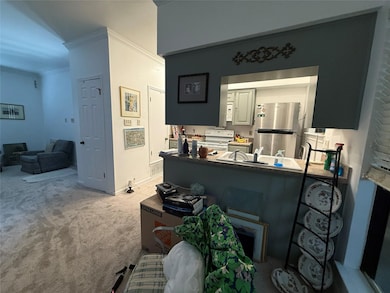 1307 Kinney Ave unit 133, Austin, TX 78704 - photo 6