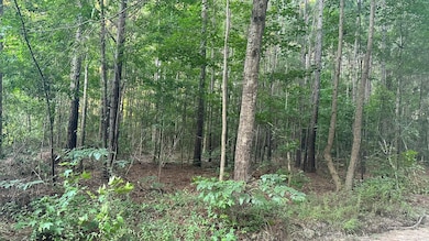 0 Pearl Acres Ln, Huger, SC 29450 - photo 3