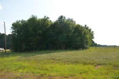 22877 Highway 84, Elba, AL 36323 - photo 5