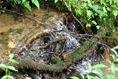 00 Hog Cove Rd, Sylva, NC 28779 - photo 4