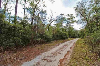 0 Honor Dr unit 315967, Crawfordville, FL 32327 - photo 7