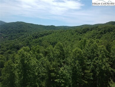 The view if trees cleared