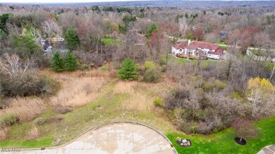 Bird's eye view featuring a wooded view