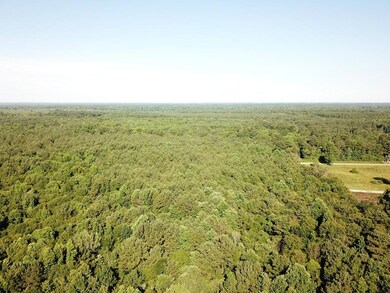 00 Mollie Boutwell Rd, Laurel, MS 39443 - photo 5