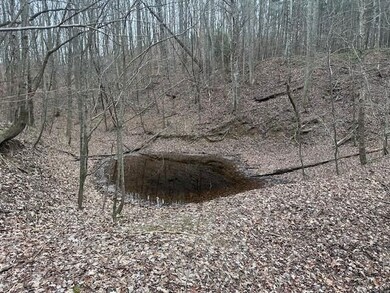 120.62 Browns Hollow Rd, Tracy City, TN 37387 - photo 4